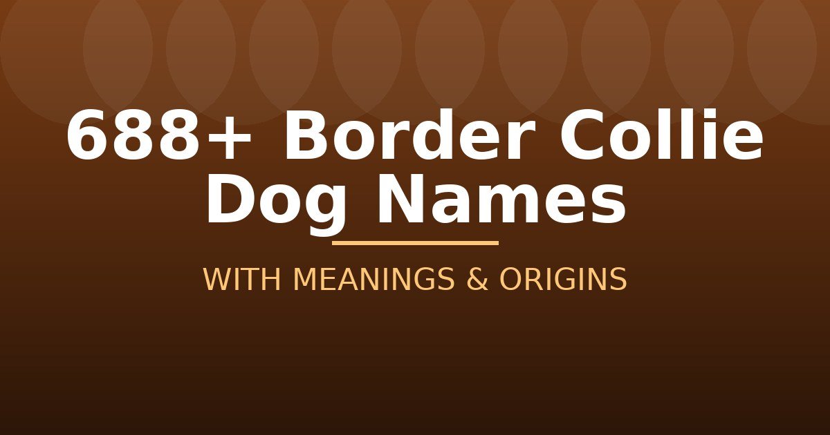 Border Collie Dog Names