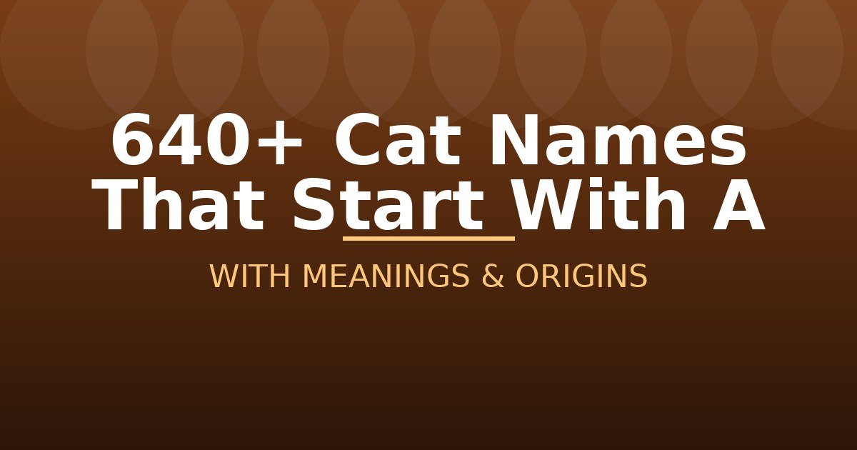 Cat Names That Start With A