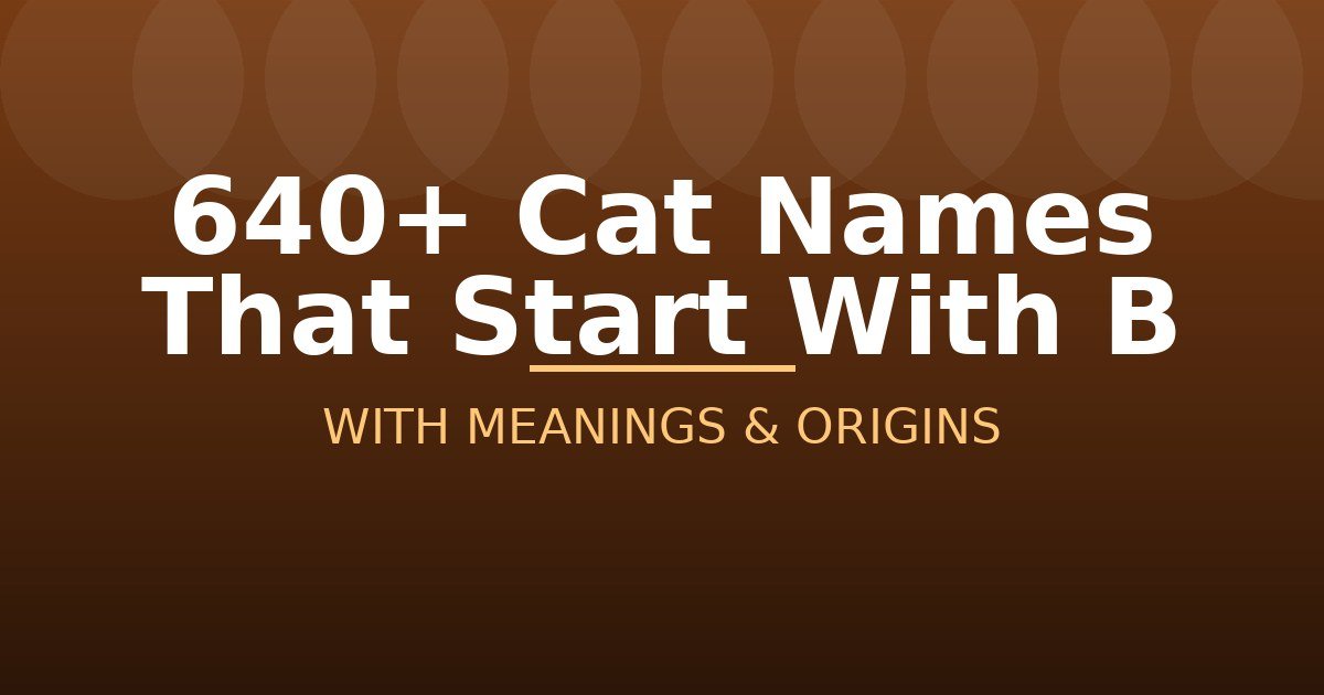 Cat Names That Start With B