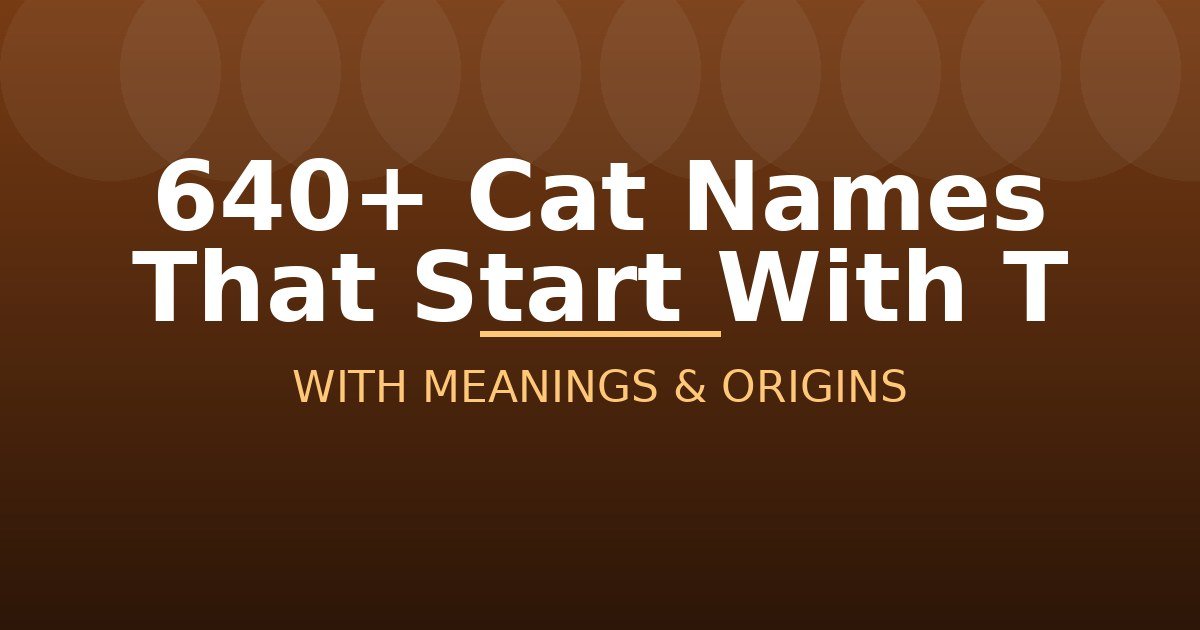 Cat Names That Start With T