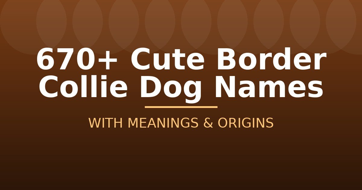 Cute Border Collie Dog Names