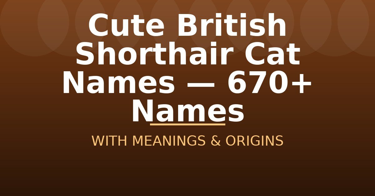 Cute British Shorthair Cat Names