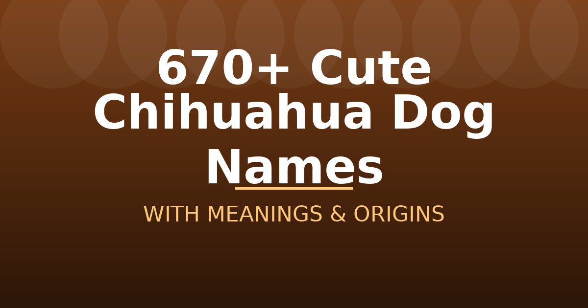 Cute Chihuahua Dog Names