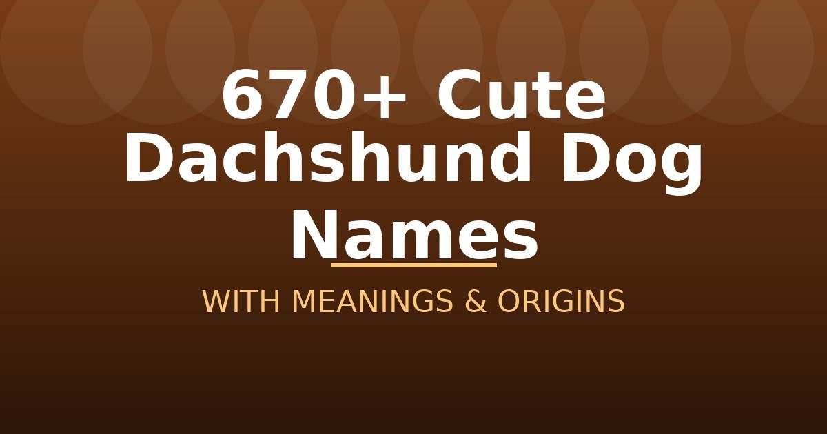 Cute Dachshund Dog Names