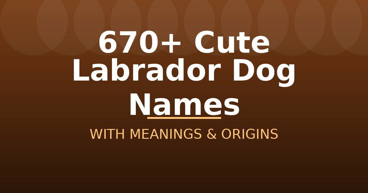 Cute Labrador Dog Names