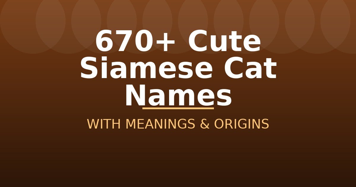 Cute Siamese Cat Names