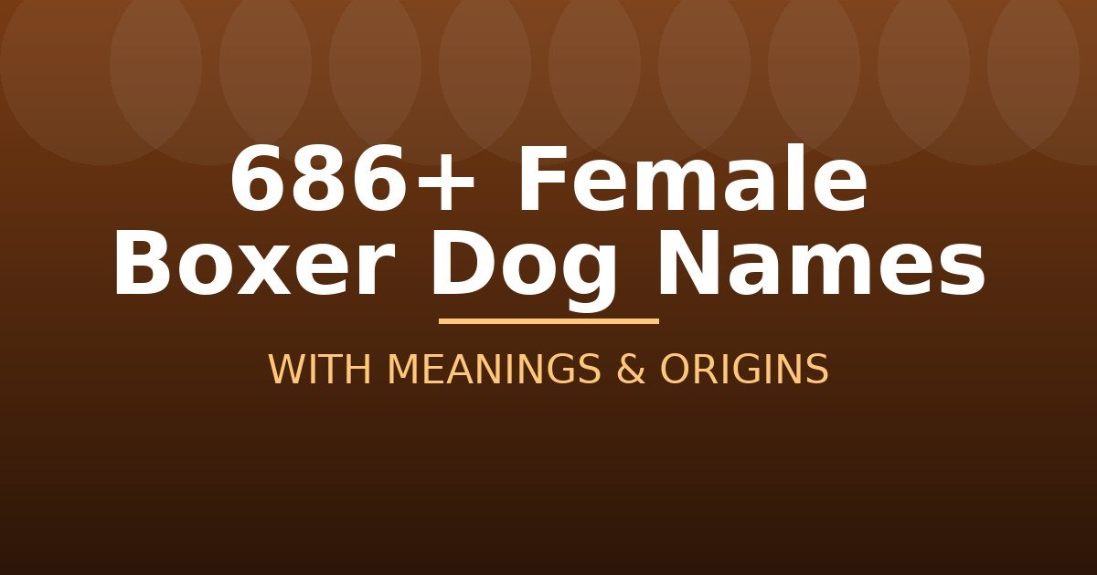 Female Boxer Dog Names