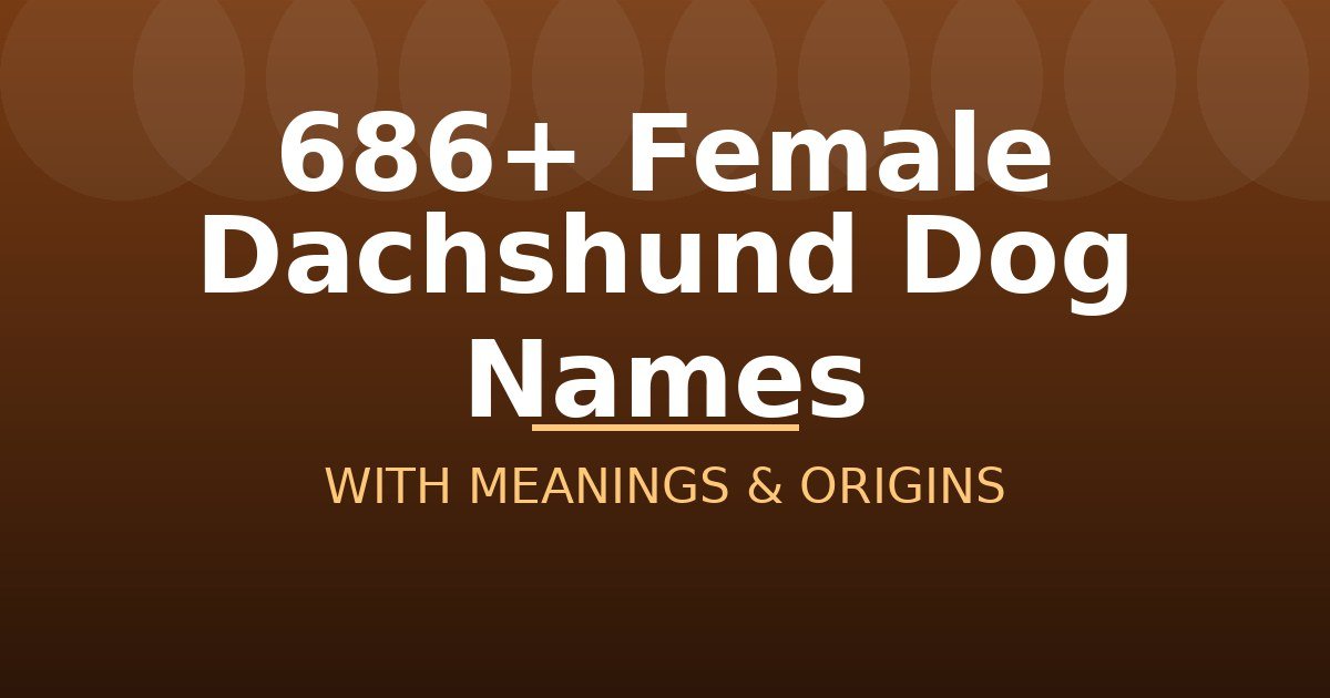 Female Dachshund Dog Names
