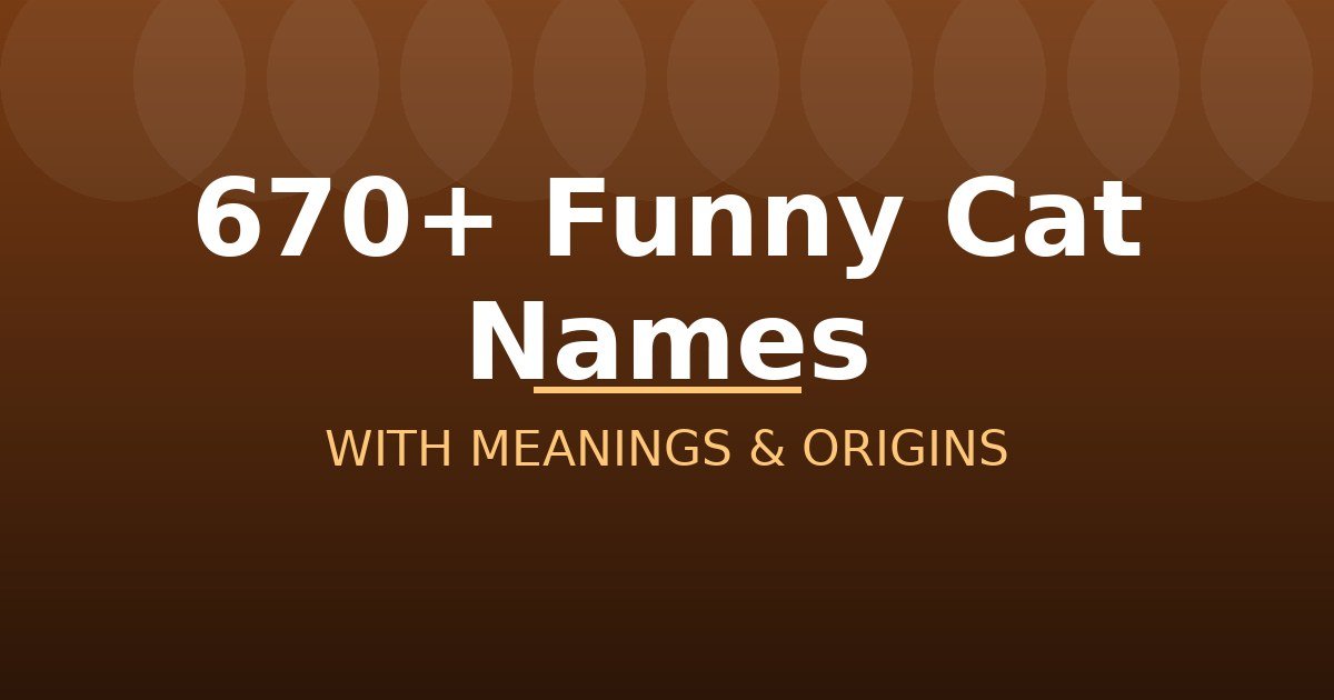 Funny Cat Names