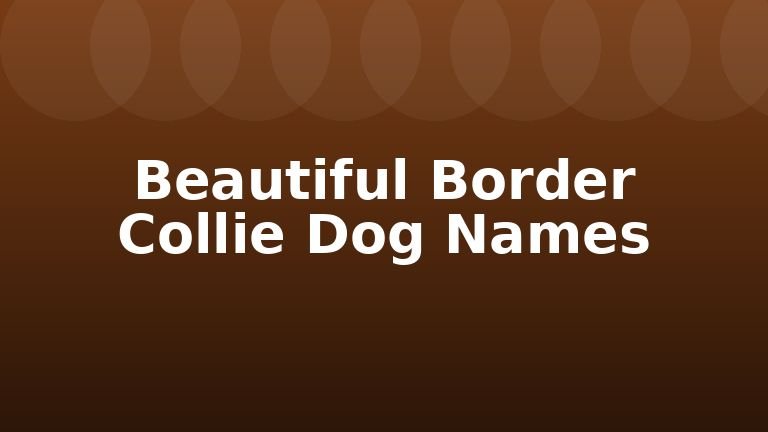 Beautiful Border Collie Dog Names