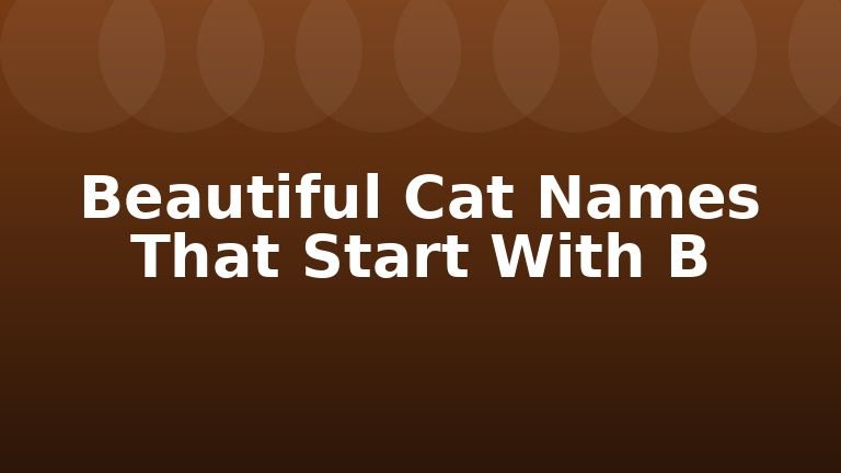 Beautiful Cat Names That Start With B