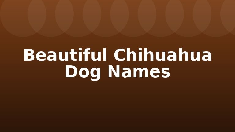 Beautiful Chihuahua Dog Names