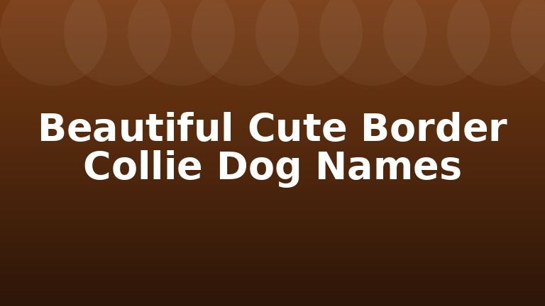 Beautiful Cute Border Collie Dog Names