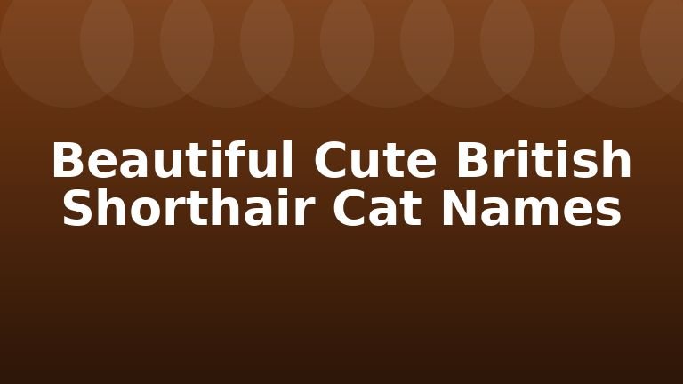 Beautiful Cute British Shorthair Cat Names