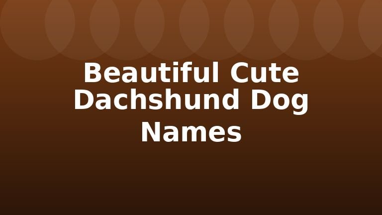 Beautiful Cute Dachshund Dog Names