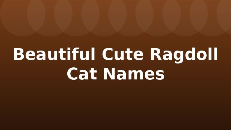 Beautiful Cute Ragdoll Cat Names