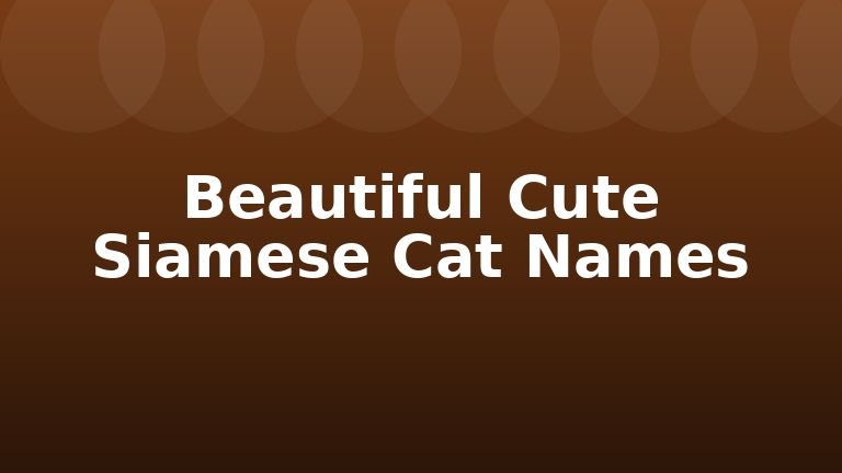 Beautiful Cute Siamese Cat Names