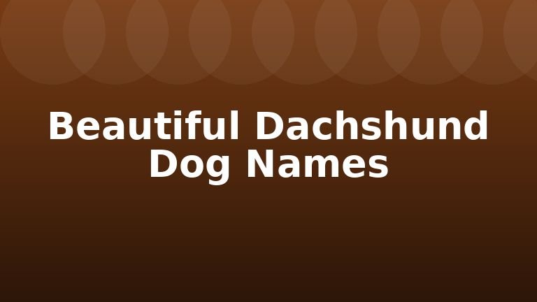 Beautiful Dachshund Dog Names
