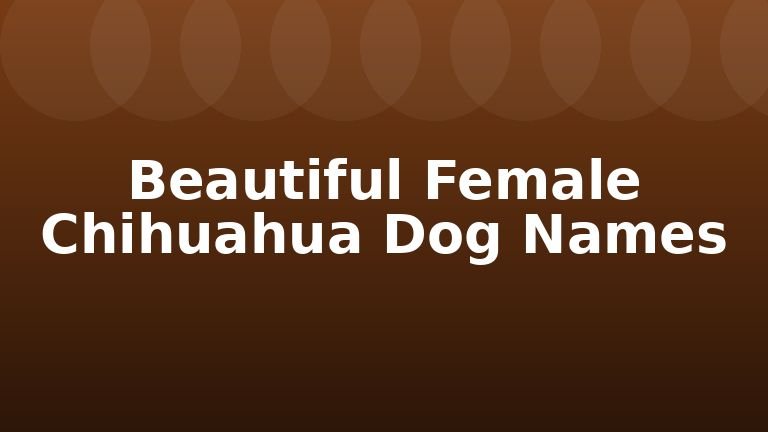 Beautiful Female Chihuahua Dog Names