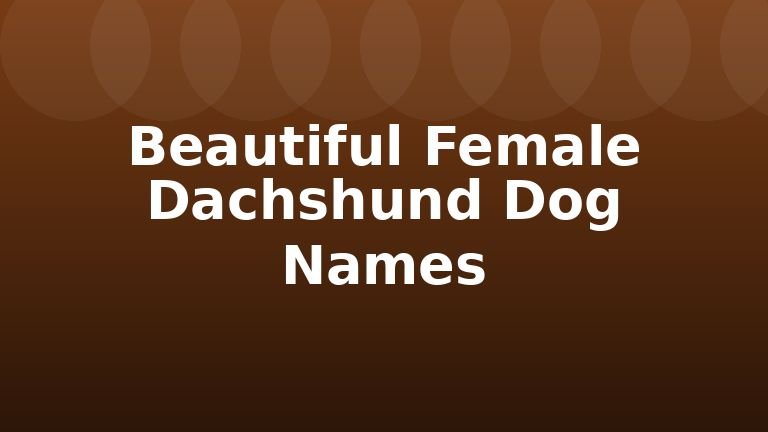 Beautiful Female Dachshund Dog Names