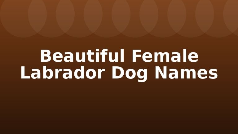 Beautiful Female Labrador Dog Names