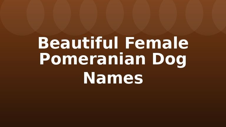 Beautiful Female Pomeranian Dog Names
