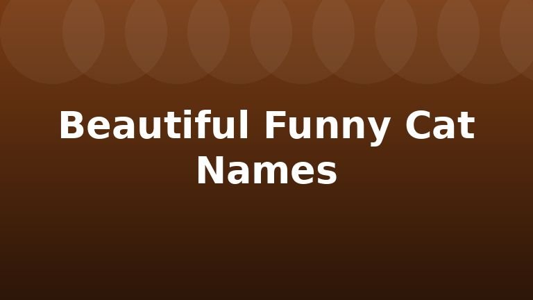 Beautiful Funny Cat Names