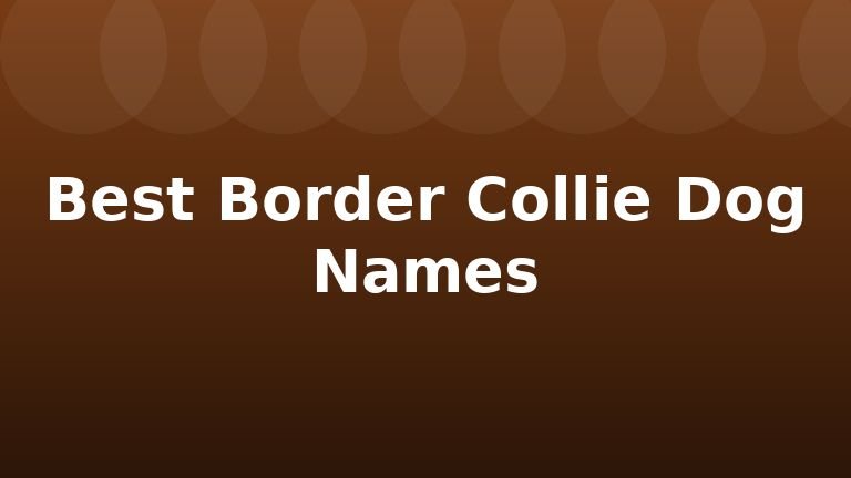 Best Border Collie Dog Names