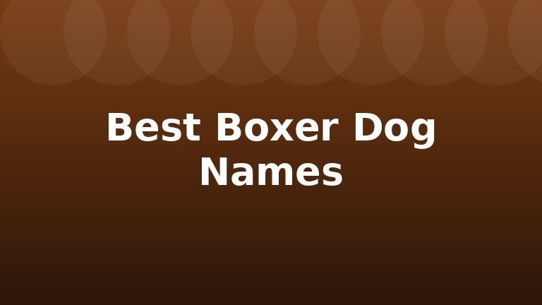 Best Boxer Dog Names