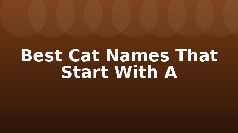 Best Cat Names That Start With A