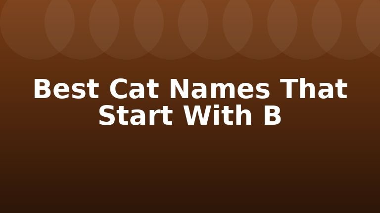Best Cat Names That Start With B