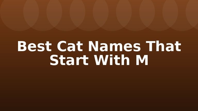 Best Cat Names That Start With M