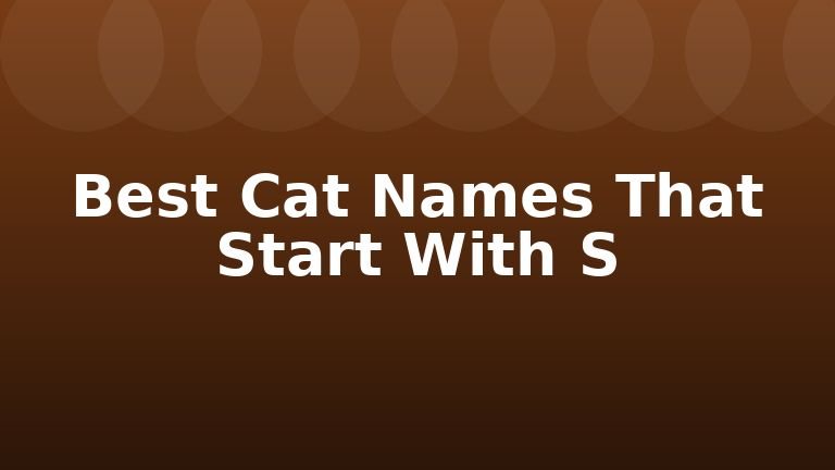 Best Cat Names That Start With S