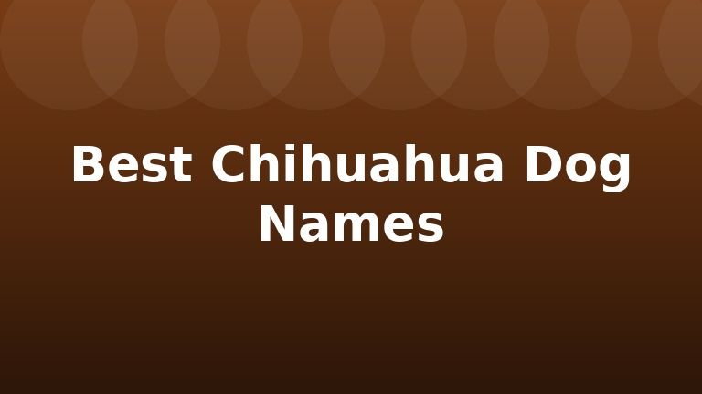 Best Chihuahua Dog Names