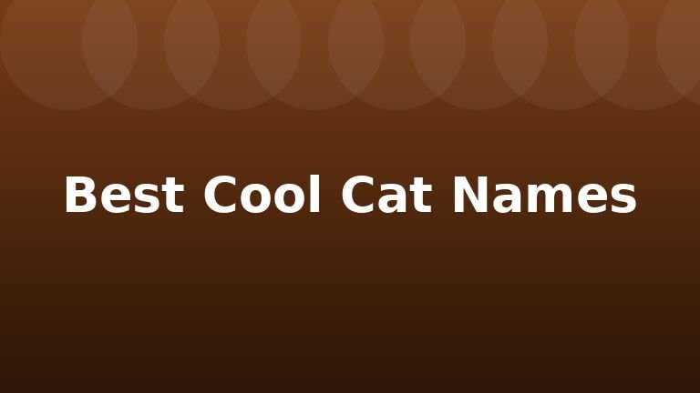 Best Cool Cat Names