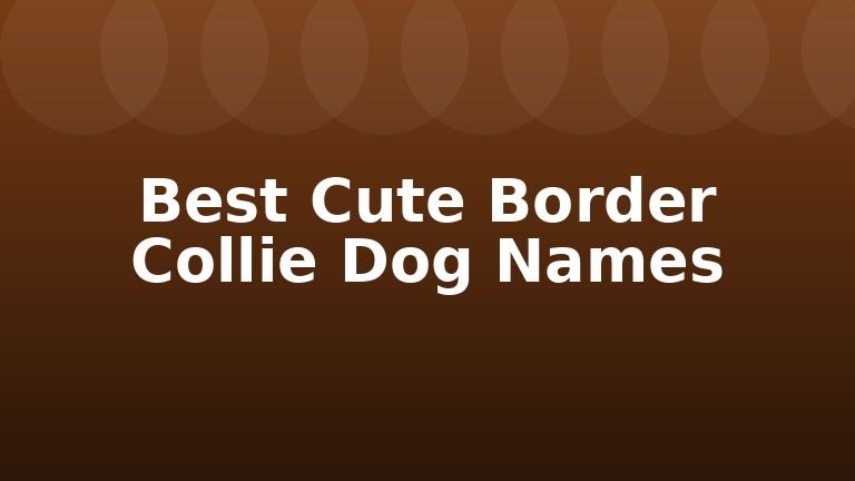 Best Cute Border Collie Dog Names