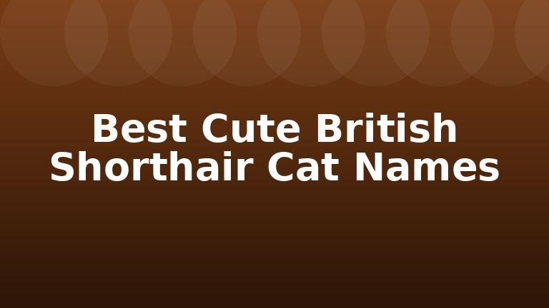 Best Cute British Shorthair Cat Names