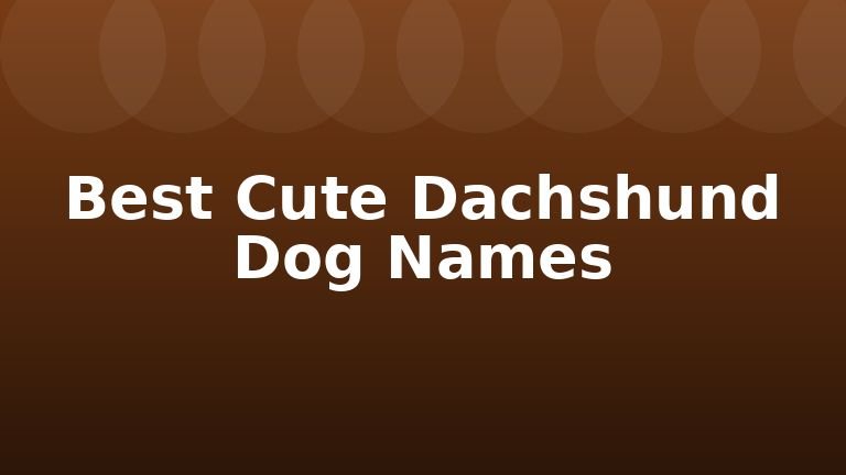 Best Cute Dachshund Dog Names