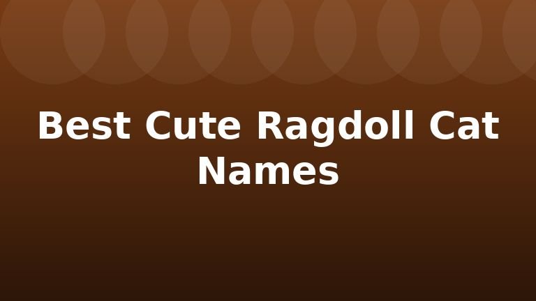 Best Cute Ragdoll Cat Names