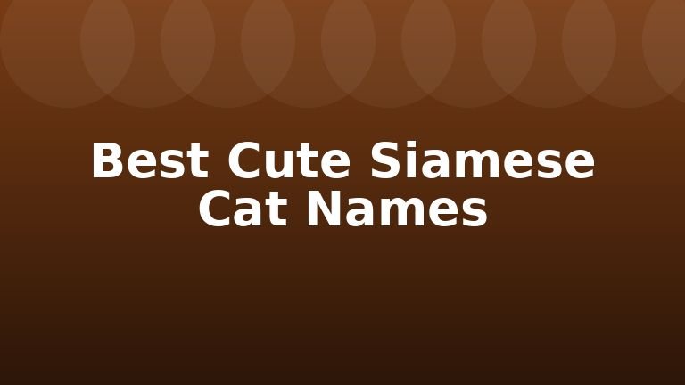 Best Cute Siamese Cat Names
