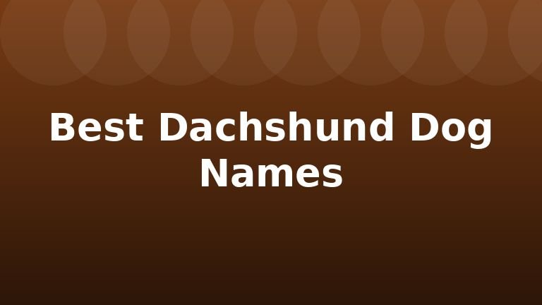 Best Dachshund Dog Names
