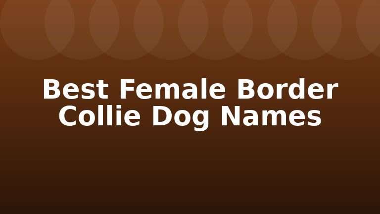 Best Female Border Collie Dog Names