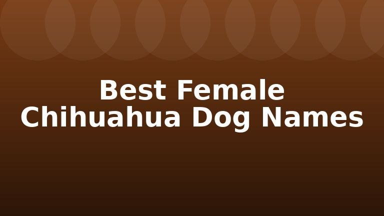 Best Female Chihuahua Dog Names