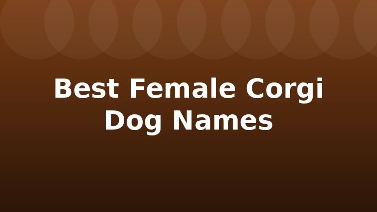 Best Female Corgi Dog Names