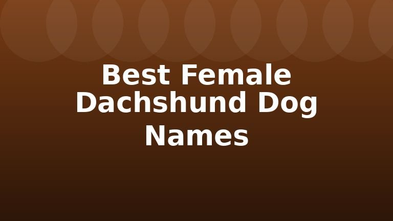 Best Female Dachshund Dog Names