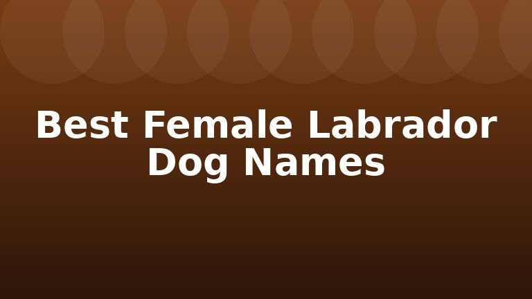 Best Female Labrador Dog Names