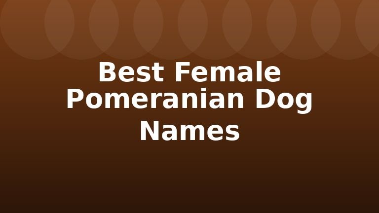 Best Female Pomeranian Dog Names