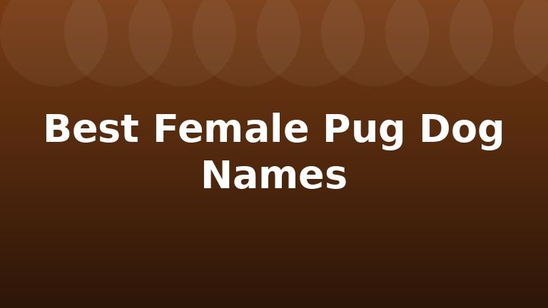 Best Female Pug Dog Names