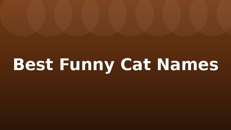Best Funny Cat Names