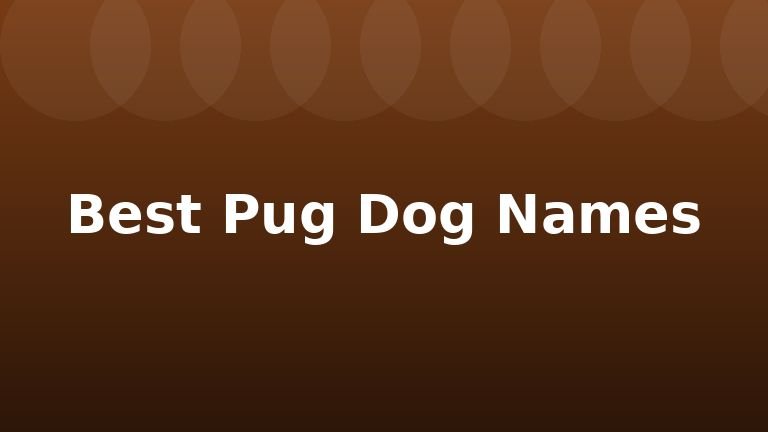 Best Pug Dog Names